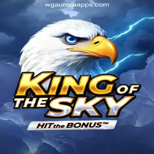 KingOfTheSky: The Ultimate Gaming Experience on WG-Aurora Platform